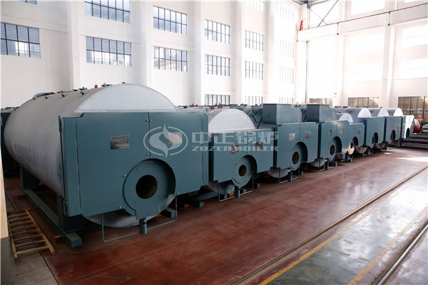 中小型化工廠6噸燃氣蒸汽鍋爐